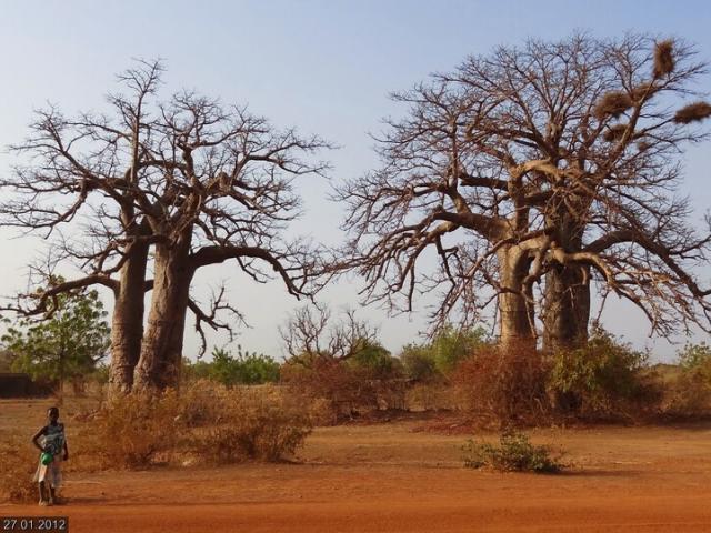 Burkina Faso's Sahel Region