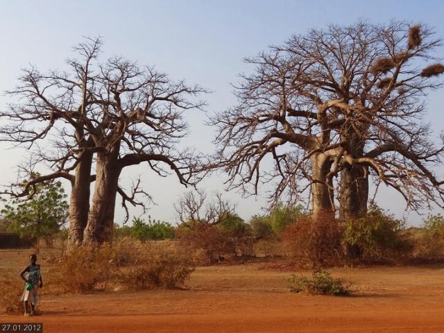 La région du Sahel au Burkina Faso